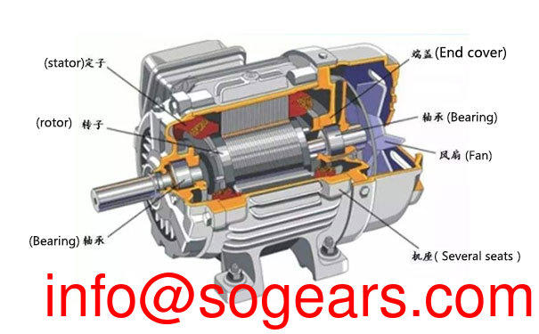 squirrel-cage-induction-motor